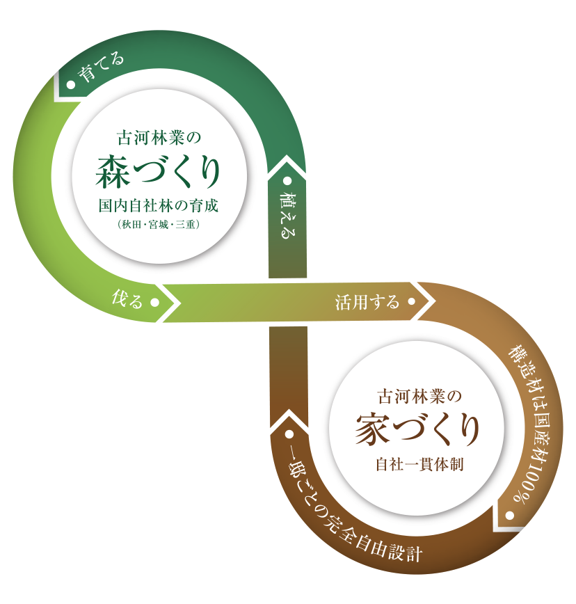 公式】家づくりを森づくりから始めた。国産材100%の木造注文住宅 公式】家づくりを森づくりから始めた。国産材100%の木造注文住宅