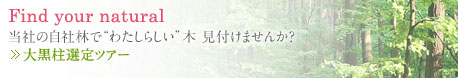 Find your natural 当社の自社林で“わたしらしい”木 見付けませんか？ 大黒柱選定ツアー