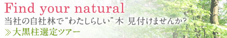 Find your natural 当社の自社林で“わたしらしい”木 見付けませんか？ 大黒柱選定ツアー