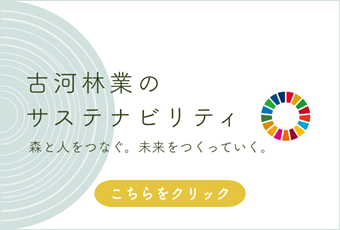古河林業のサステナビリティについて