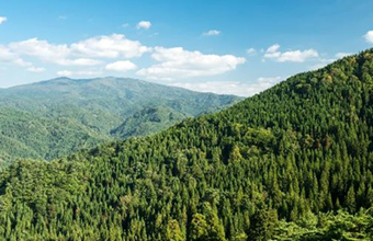 古河林業のサステナビリティ