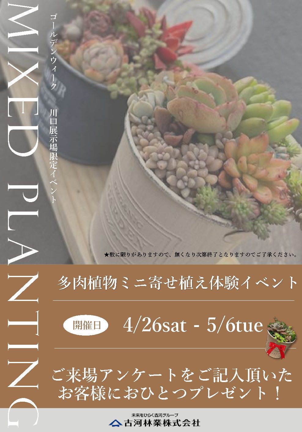 🌟GW開催！多肉植物ミニ寄せ植え体験イベント🌳【川口】