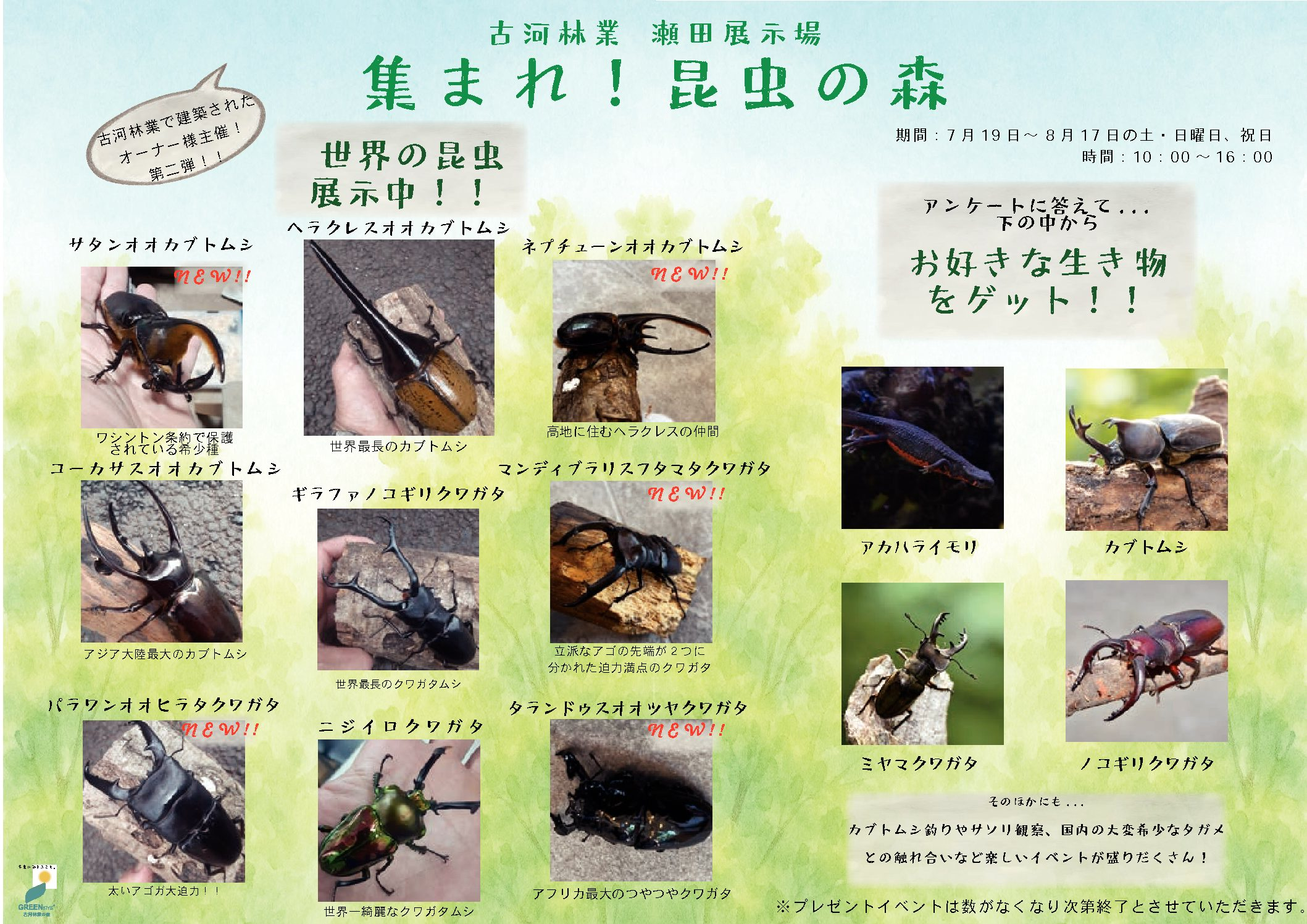 🌿夏休み特別企画！ご家族で楽しめる【世界の昆虫ふれあいイベント 第二弾！】🌿【瀬田】