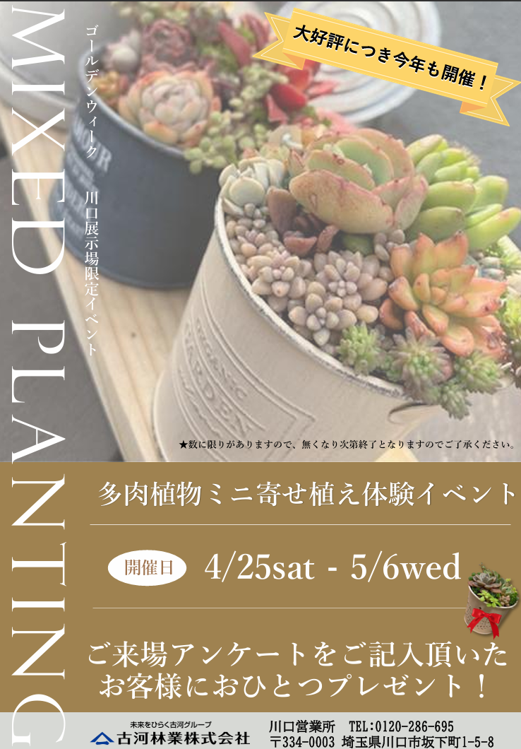🌵GW限定！多肉植物ミニ寄せ植え体験イベント開催🌟